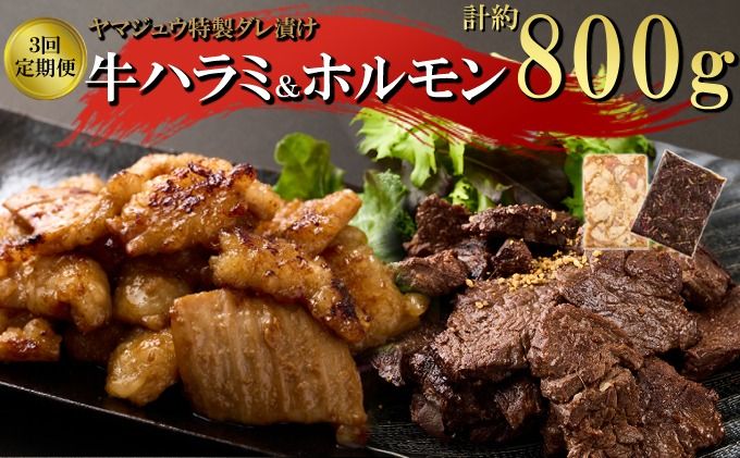 焼肉 ヤマジュウの特選タレ漬け!牛ハラミ肉&国産牛ホルモン計800g[3回定期便]_yj086