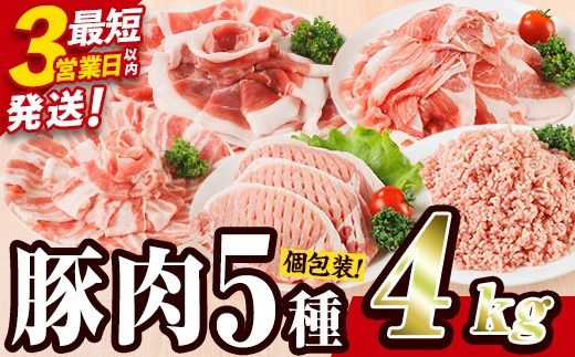  ＼3営業日以内発送／＜1回配送＞ 豚肉 バラエティーパック (合計4kg) 豚バラ しゃぶしゃぶ 鍋 とんかつ ロース 小分け 個包装 豚こま 小間切れ スライス ミンチ 5種 セット 詰め合わせ 冷凍 食べ比べ 国産 大分県 佐伯市【BD325】【西日本畜産】