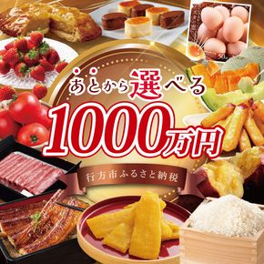 ★あとから選べる★茨城県行方市ふるさとギフト 寄附額：1000万円分｜あとから選べる 後から選べる 選べる ギフト 肉 お肉 米 お米 コシヒカリ ミルキークイーン さつまいも サツマイモ 芋 お芋 うなぎ 干し芋 紅はるか スイーツ カタログ 1000万円 茨城県 行方市 人気(CU-106)
