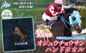 【TVで紹介！】【オジュウチョウサン】ハンドタオル BRTV008