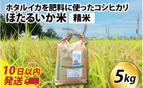 【訳あり】ほたるいか米（精米５kg）【通年発送】