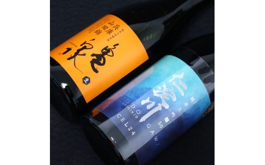 仁淀川純米大吟醸 CEL-24 亀泉純米大吟醸 兵庫山田錦 2本セット 高知県 土佐市 こうち 返礼品