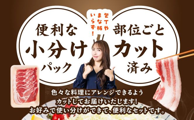 宮崎県産豚わくわく4.1kgセット(真空)≪みやこんじょ快速便≫_AC-8403-s-R