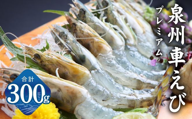 y{򍲖szG2179 yHzBԂ 300gys\z