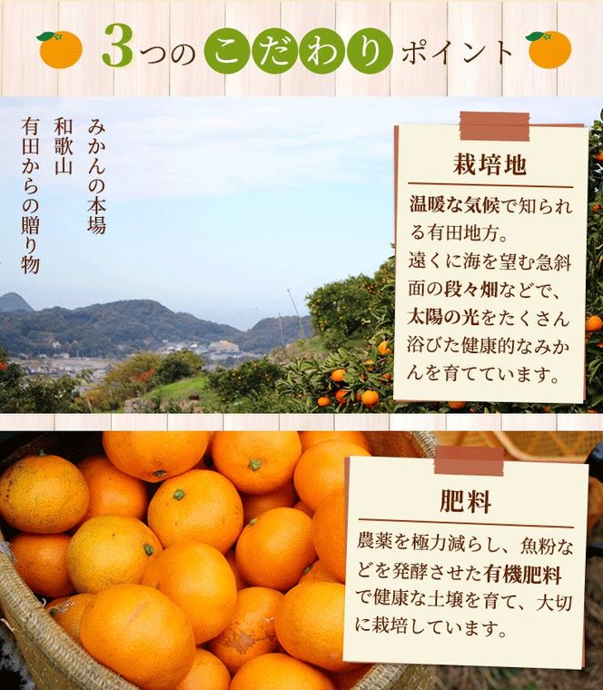 家庭用 完熟 有田みかん1kg+250g（傷み補償分）サイズ混合