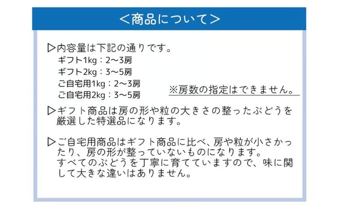 【2026年先行予約】 ここちとふぁーむ 【ご自宅用】 岡山県産 シャインマスカット＆旬のおまかせぶどう 2～3房 約1kg 【koko016-01】
