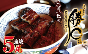【備長炭で焼く“いい焦がし”】三河一色産うなぎの蒲焼5尾 鰻 ウナギ たれ タレ 国産 備長炭 土用 丑の日 冷凍 三河一色産 H189-032