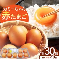 たまご JA上伊那 カミーちゃん 赤たまご 20個＋割れ保障10個付き（MSサイズ）｜ 卵 赤卵 20個 JA上伊那 伊那市 長野県 信州 ふるさと納税【008-24】