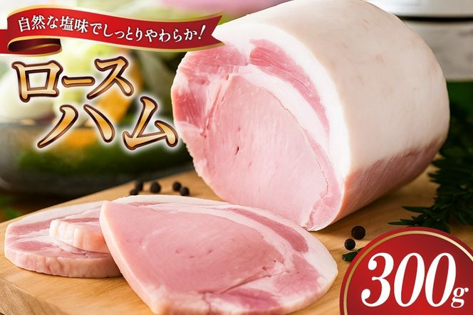 yÉgczyO!H[{H`z [Xn ubN 300g ×1 [gcnH É gc 22424654] Yn ͂ ؓ   [Xn Xe[L Mtg  Ε H ① H nXe[L