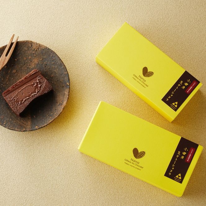 極上の口溶け。幸せの生ガトーショコラ 450g 【 高級 濃厚  極上スイーツ グルテンフリー チョコ ショコラテリーヌ 高品質クーベルチュールチョコレート使用 一流シェフ 神奈川県 小田原市 】 142069_DW001