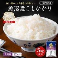【12ヶ月定期便】魚沼産こしひかり(十日町地域) 精米 5kg 米 お米 コシヒカリ 定期 十日町市