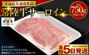 【常陸牛 A4】サーロイン 250g×3枚（茨城県共通返礼品）