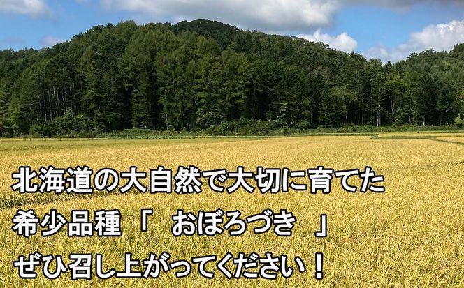 令和7年度産 北海道米 おぼろづき 玄米 5kg 北海道 新ひだか町