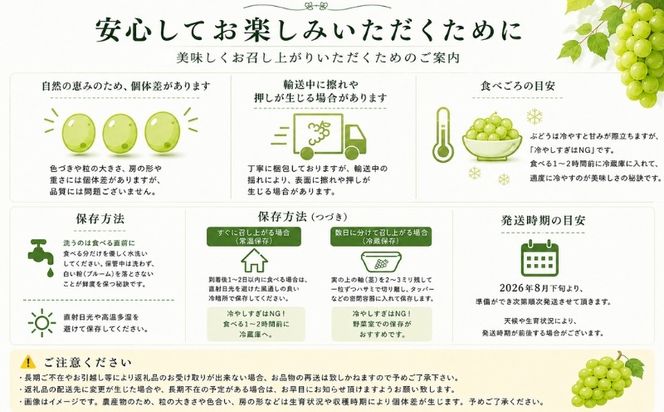 FB002【2026年 先行予約】山梨県産　種なしピオーネ2～3房(約1.0Kg）|ピオーネ 種無し ブドウ ぶどう 葡萄  フルーツ 果物 贈答 プレゼント