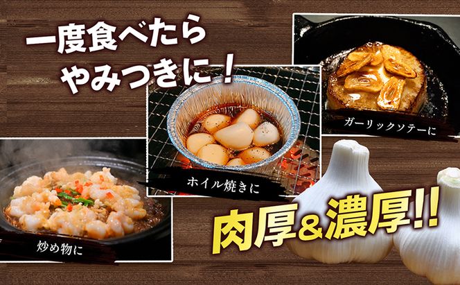 ご家庭用生にんにく 約10kg 野菜 野菜セット ニンニク 