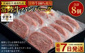 【常陸牛100%】ハンバーグ8個（ソース付）（茨城県共通返礼品）