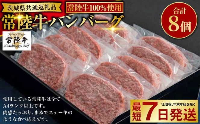 【常陸牛100%】ハンバーグ8個（ソース付）（茨城県共通返礼品）