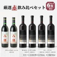 【30セット限定】「早池峰の恵み」モリタワイン　ダム貯蔵熟成「赤」年代別飲み比べ　6本セット 【2434】