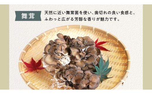 【3ヶ月定期便】きのこ の 詰め合わせ Lサイズ( 約2kg ) （茨城県共通返礼品：城里町） キノコ セット 野菜 低カロリー ダイエット デトックス バラエティ セット 新鮮 [DY007us]