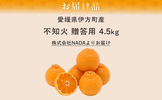 【先行予約】【農家直送】愛媛県産 不知火 贈答用 4.5kg （2026年2月下旬〜3月下旬頃発送予定） IKTC008