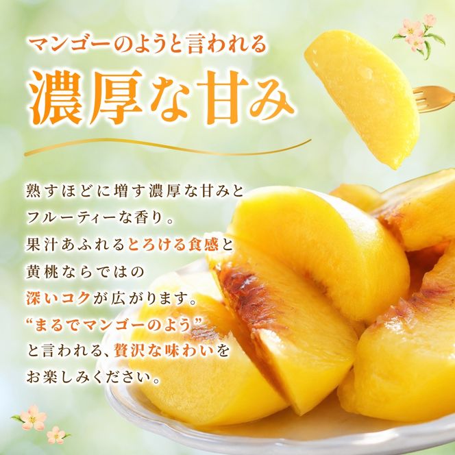 先行予約 岡山県産 黄金桃 3.8kg 化粧箱入り・贈答用 高級 おうごんとう 花田青果【2026年9月初旬～9月中旬まで順次発送予定】/ 桃 もも モモ 果物フルーツ 贈答品 贈り物 岡山県【hnds010】