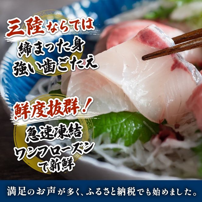 三陸産 カンパチ 刺身 1.4kg 新鮮 人気 高級 天然 三陸 魚 産地直送 かんぱち 勘八 しゃぶしゃぶ 鍋 照り焼き 刺し身 さしみ 生 冷凍 海鮮 魚介 国産 グルメ 急速冷凍 kanpati スキンレス フィレ ワンフローズン 岩手 大船渡 岩手県 大船渡市 [kouyou022]