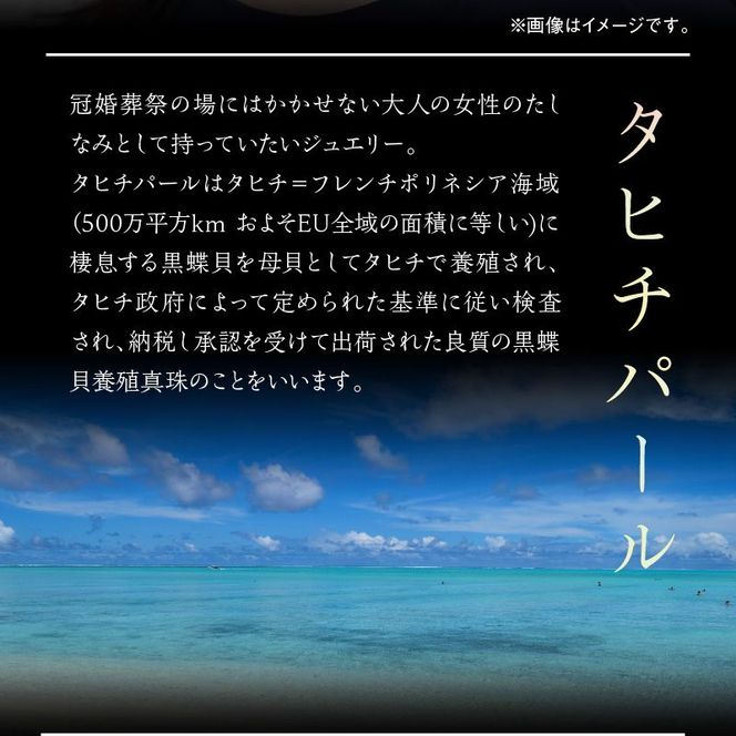 タヒチ黒真珠ピアス真珠10mm14Kホワイトゴールド N0119-YZG0132