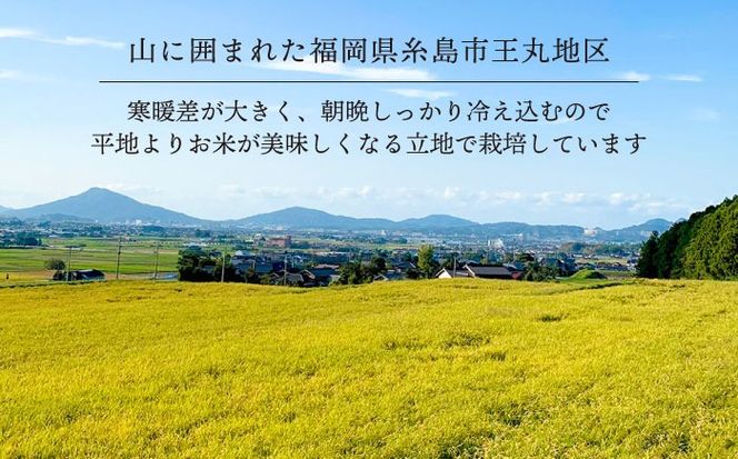 【令和7年産】糸島産 夢つくし 5kg 糸島市 / 糸島王丸農園 ( 谷口汰一 )【いとしまごころ】[AAZ001]