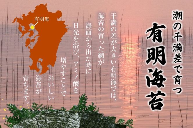 AJ196 有明海産 卓上 初摘み焼のり 100枚入×6本  [ 海苔 のり 焼き海苔 焼きのり 初摘み 有明海 国産 ご飯のお供 丸政水産 長崎県 島原市 ]