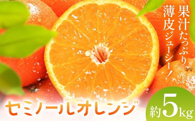 オレンジ セミノールオレンジ 約5kg 株式会社魚鶴商店《2027年5月上旬-5月中旬頃出荷予定》 和歌山県 日高町 柑橘 フルーツ---wsh_uot247_5j5c_26_14000_5kg---