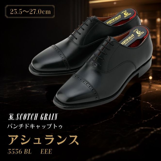 スコッチグレイン ビジネスシューズ メンズ アシュランス 3536 パンチドキャップトゥ 革靴 本革 日本製 EEE 送料無料 ギフト