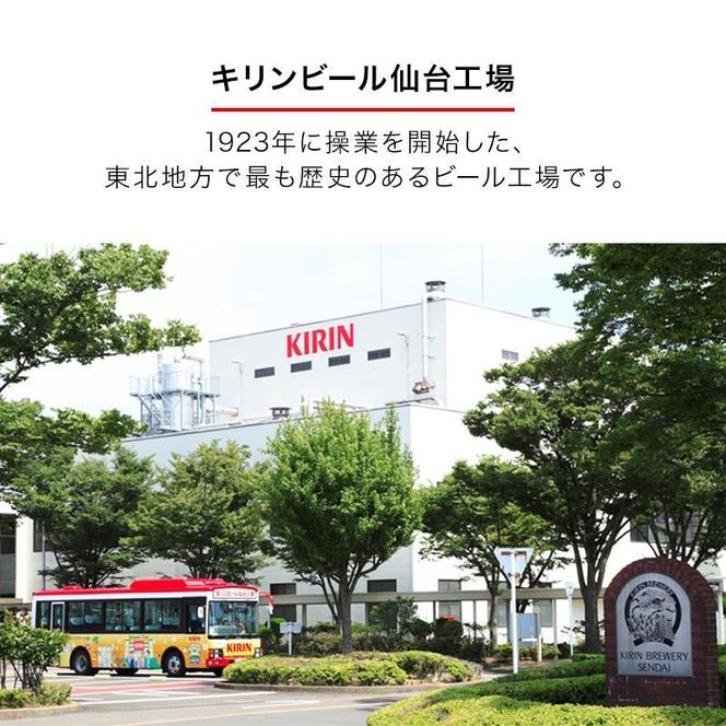 【6ヵ月定期便】キリン 淡麗極上〈生〉500ml×24本　【 お酒 アルコール アルコール飲料 晩酌 家飲み 宅飲み 飲み会 集まり バーベキュー BBQ イベント 飲み物 缶ビール 】 ● 041009_EL247