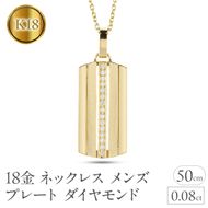 ネックレス メンズ k18 18金 プレート ダイヤモンド 0.08ct ペンダントトップ 大ぶり ゴールド ダイヤ イエローゴールドK18 ストライプ タグペンダント ジュエリー シンプル 大きめ 普段 使い 人気 250520201ym SWAA329
