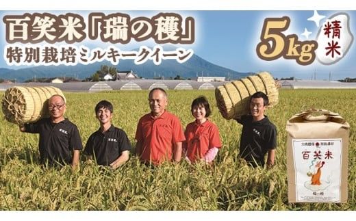 精米 百笑米 「 瑞の穫 」 特別栽培 ミルキークイーン 5kg R7年産 米 コメ 茨城県 単一米 [AC001ci]
