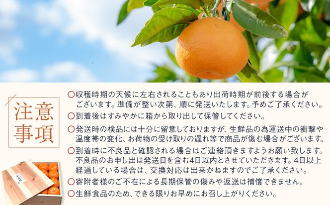 高級 有田みかん 木箱姫 32個入 秀品 M・Lサイズ  K001