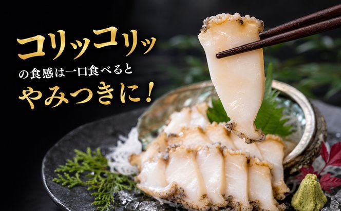 北海道礼文島産 冷蔵 生蝦夷あわび１kg（個数・サイズ指定不可）［Dining cafe 海］【 あわび アワビ 鮑 蝦夷アワビ エゾアワビ 刺身 おつまみ 酒の肴 ご飯のお供 絶品 】