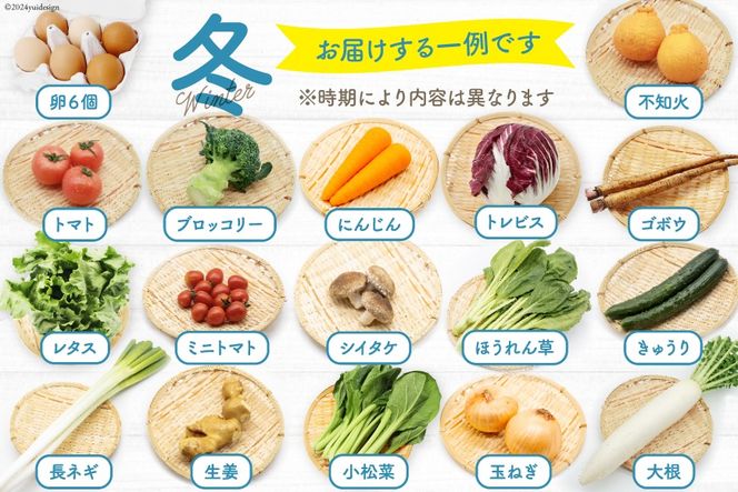 totomon様 野菜セット 果物追加 定期便月一回 お届け】旬のおまかせ野菜セット 8品〜10品