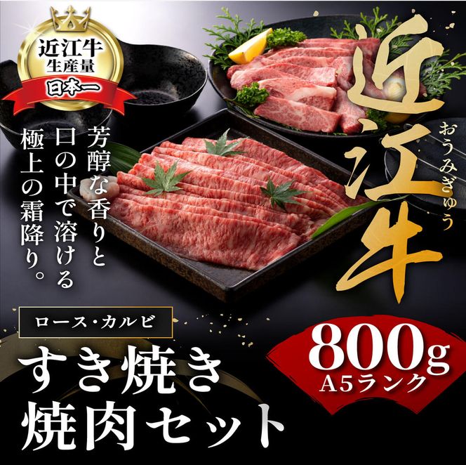 【げんさん】近江牛A5ランク焼肉・すき焼セット【800g】【DG11W】