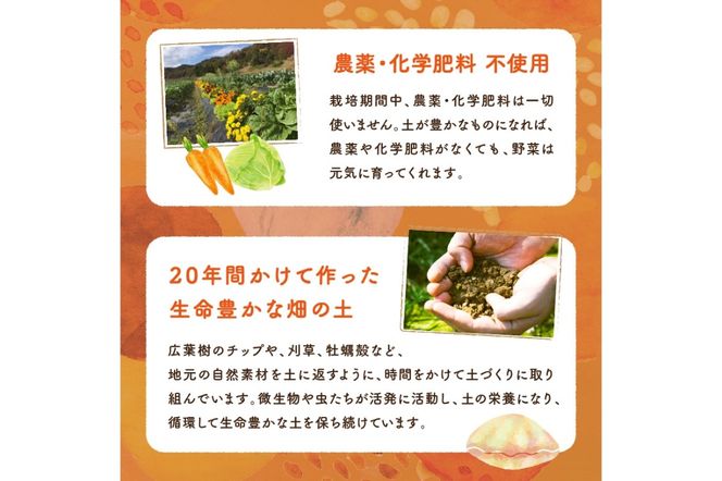 【数量限定】自然栽培野菜セット（団らん）　AB00007