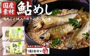 丹波山「鮎めし」 鮎 炊き込みご飯の素 2種 1セット 合計2パック  1パック=2合用 簡単 調理 炊き込み 国産 本格 グルメ 送料無料 ふるさと納税【tab0238-02】