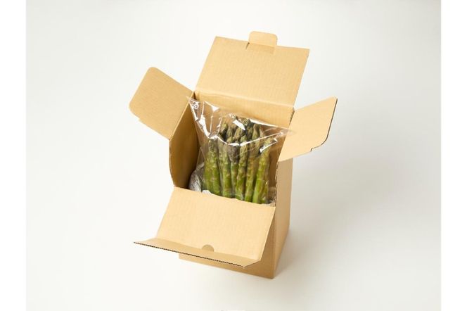  ns092-001 那須高原アスパラガス