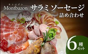 サラミ ソーセージ 6種 セット チョリソ チョリソー 白カビサラミ コッパ パンチェッタ ウィンナー ウインナー 白カビ 詰め合わせ ギフト プレゼント 贈答 熟成 熟成肉 お肉 豚肉 おつまみ つまみ お酒のおつまみ 冷蔵 冷蔵配送 愛知 愛知県 日進市