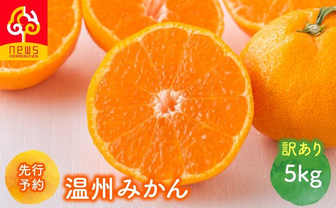 【先行予約】【訳あり】温州みかん 5kg（2026年11月上旬より順次発送）IKTF031