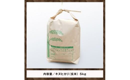 楽天市場】特別栽培米 丹後産 コシヒカリ 米 5kg 令和6年産お米