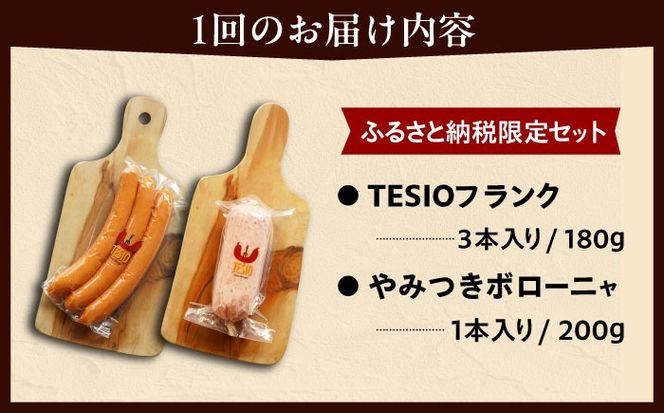 【全12回定期便】【ふるさと納税限定】TESIOの自家製フランク＆ボローニャセット (計380g) 豚肉 ハム ソーセージ 小分け 真空パック 沖縄市 / TESIO[BCAD018]