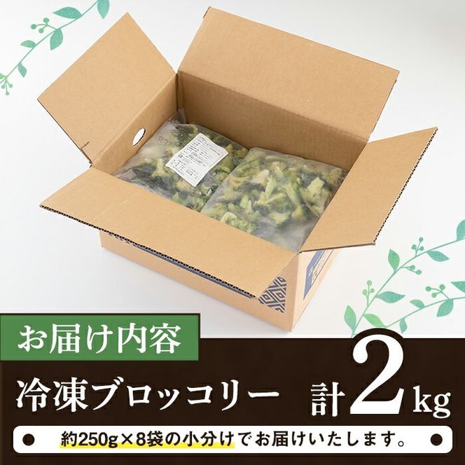 鹿児島県産冷凍ブロッコリー(合計2kg・約250g×8袋) 大容量 国産 野菜 冷凍 冷凍野菜 小分け【合同会社グッドフィールド】akn056-10