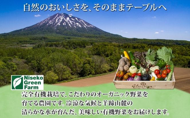 【2026年発送】 オーガニック かぼちゃ デリカタ BOX 約5kg 有機栽培 南瓜 カボチャ 北海道 倶知安 ニセコグリーンファーム