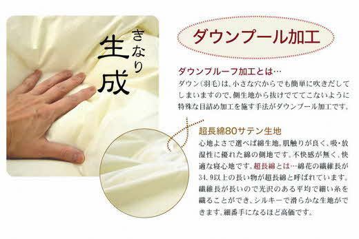 【65-1】ザ・羽毛布団 プレミアムゴールドラベル キング 230×210cm 　ポーランド産ホワイトマザーグースダウン95％ 日本羽毛製品協同組合 品質推奨ラベル付き 羽毛 掛け布団 【251-000047-10】