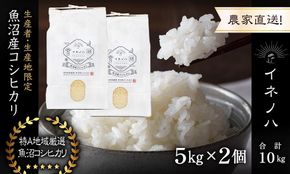 【令和7年産】 魚沼産コシヒカリ 「イネノハ 」精米(5kg×2) お米 白米 ご飯 産地直送 ミネラル 栄養分 こだわり 人気 新鮮 