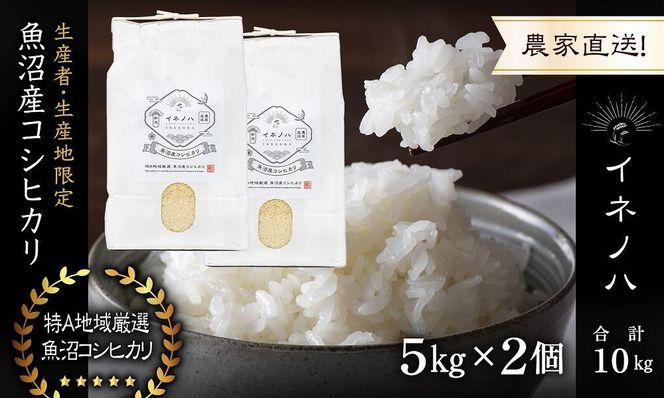 【令和7年産】 魚沼産コシヒカリ 「イネノハ 」精米(5kg×2) お米 白米 ご飯 産地直送 ミネラル 栄養分 こだわり 人気 新鮮 